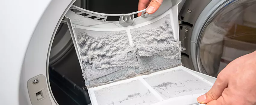Best Dryer Lint Removal Company in Rosemount, Minnesota