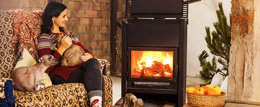 Wood Stove Chimney Cleaning Services in Rosemount, MN