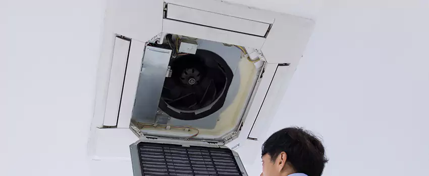 Benefits of Professional Air Duct Cleaning in Rosemount, Minnesota
