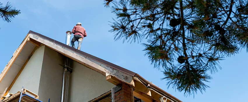 Birds Removal Contractors from Chimney in Rosemount, MN
