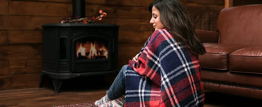 Fireplace Firebox Grate Replacement Services  in Rosemount, Minnesota