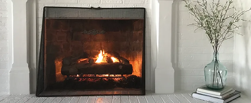 Cost-Effective Fireplace Mantel Inspection And Maintenance in Rosemount, MN