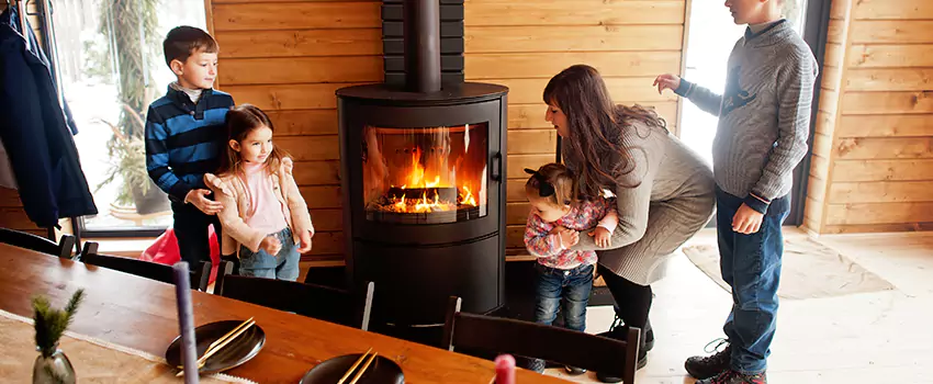 Jøtul Gas Fireplace Inspection Service in Rosemount, Minnesota